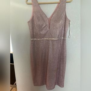 Sparkly Pink Dress